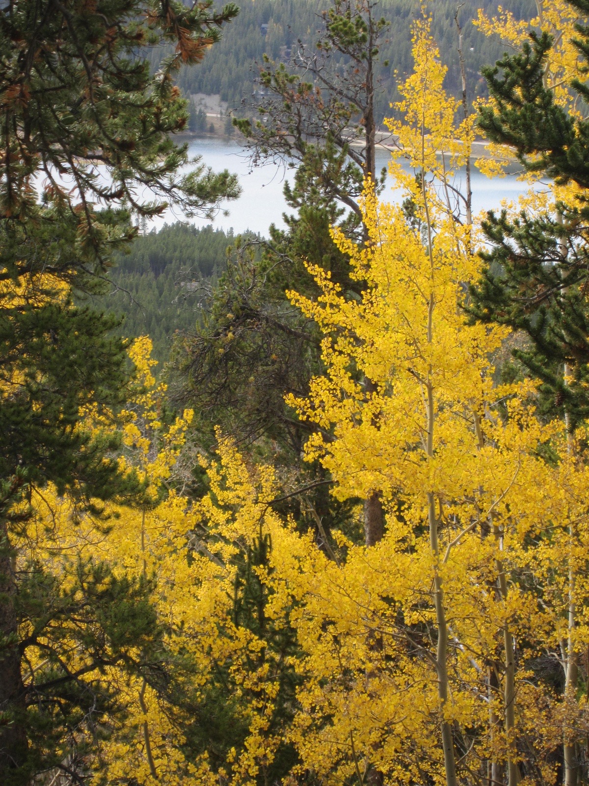 Boreas Pass scenic drive from Fairplay Colorado