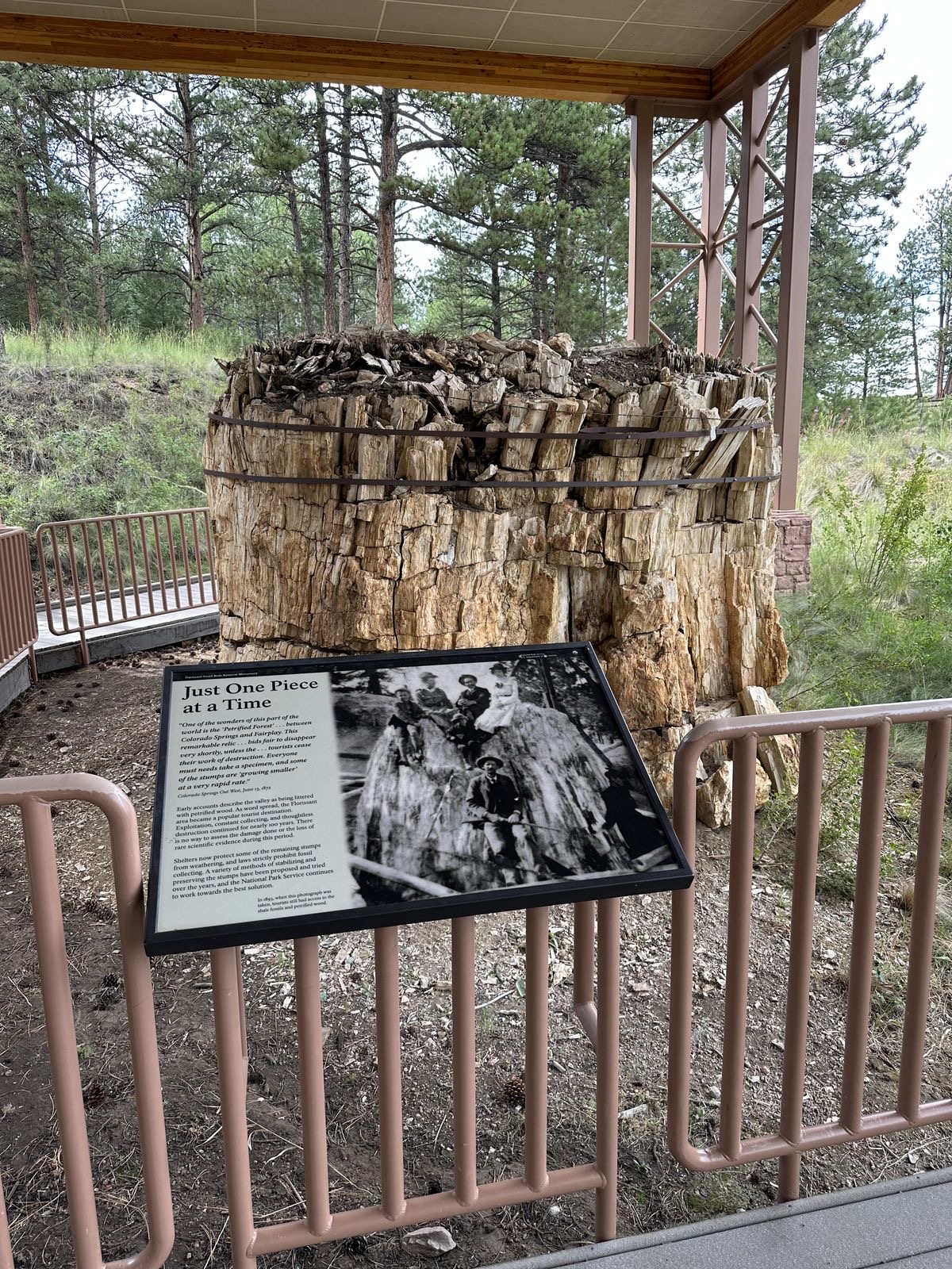 Florissant Fossil Beds National Monument near Fairplay Colorado, petrified redwood stumps