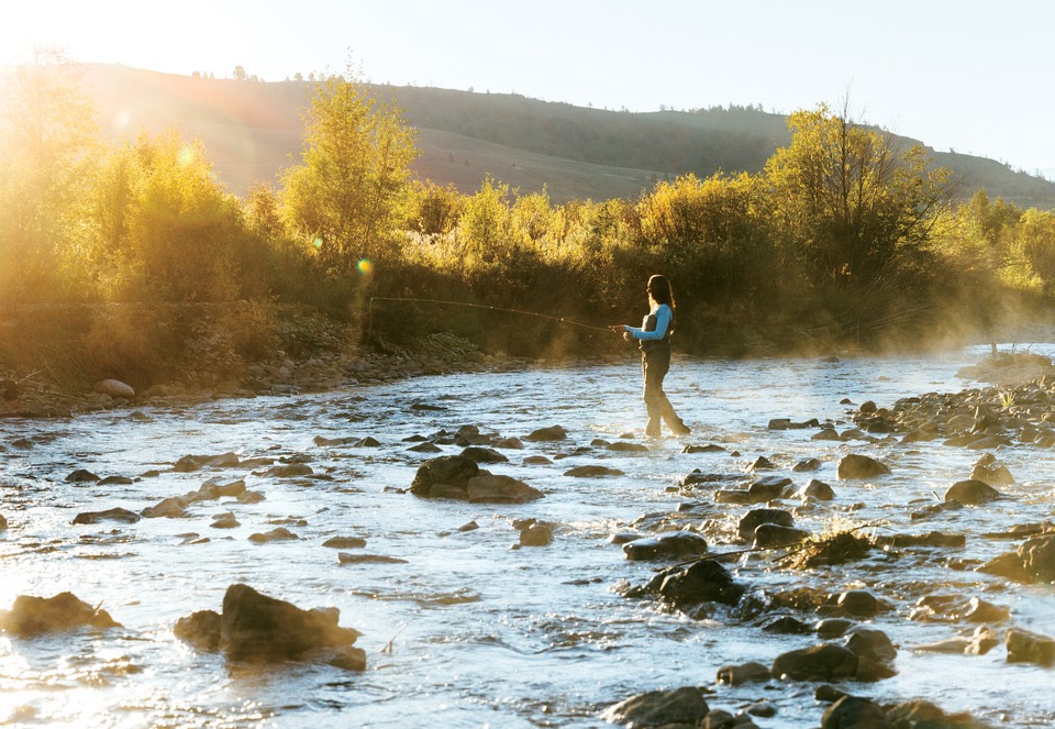 Middle Fork of the South Platte River near Fairplay Colorado, Gold Medal trout stream