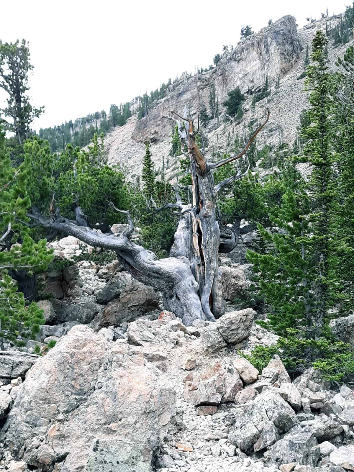 Blue Lakes trail near Fairplay Colorado, a stunning alpine lake surrounded by mountain peaks