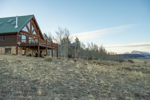Dog-friendly mountain cabin with fenced yard in Fairplay Colorado