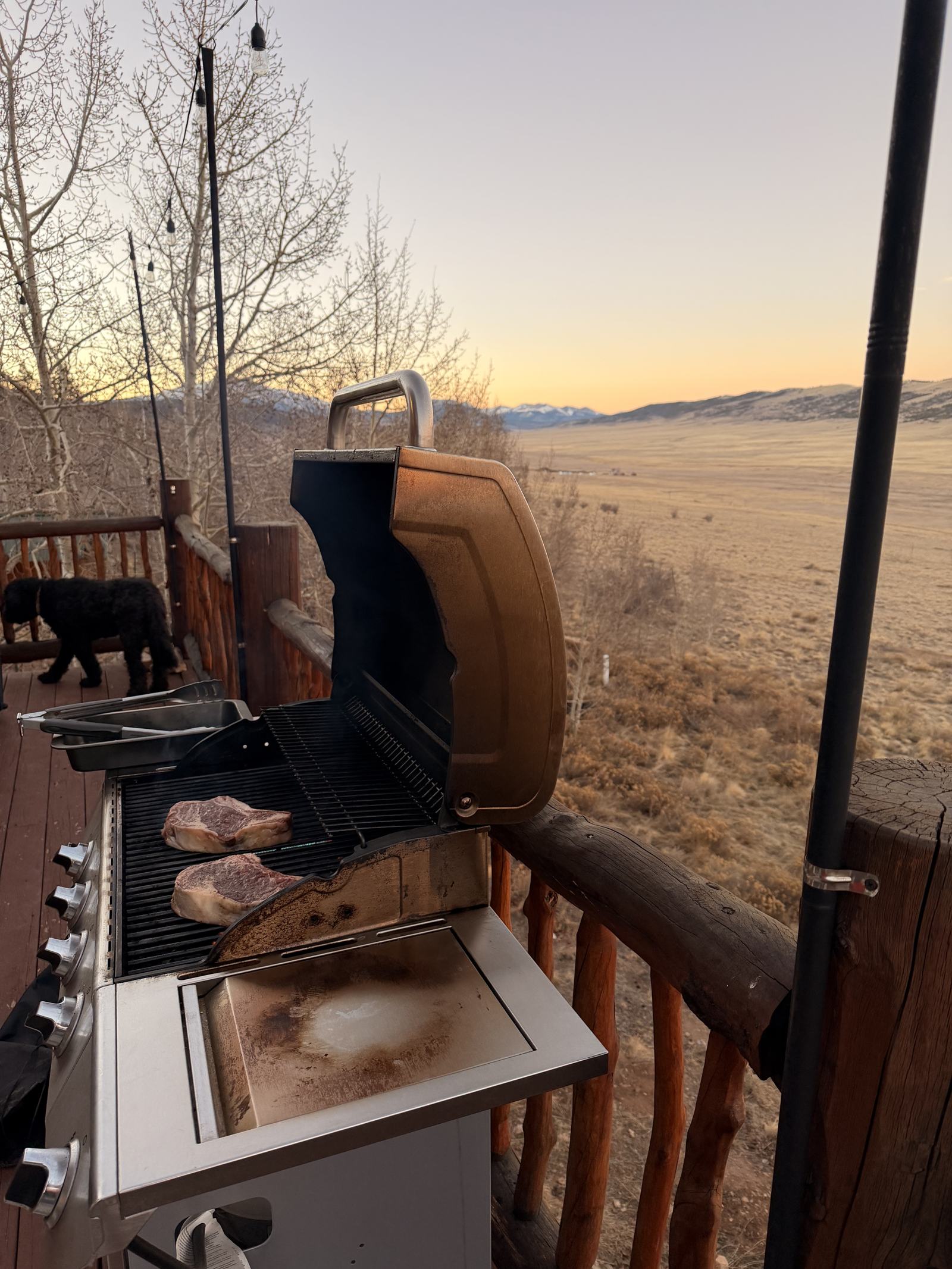Steaks on the deck grill at sunset overlooking the South Park valley